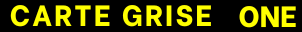 CARTE GRISE ONE